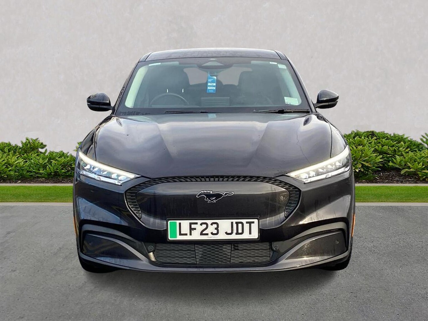 Used Ford Mustang Mach-E 2023 for sale - 76627973: Photo 5