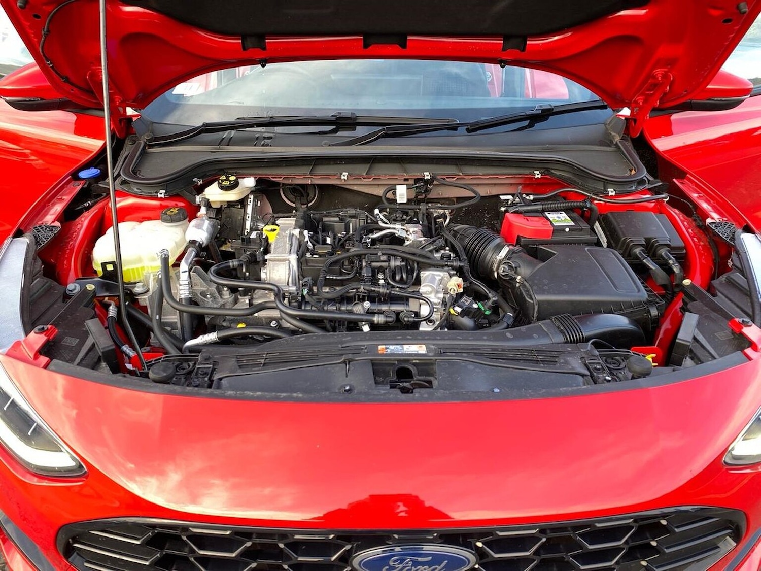 Used Ford Focus 2025 for sale - 78039338: Photo 39