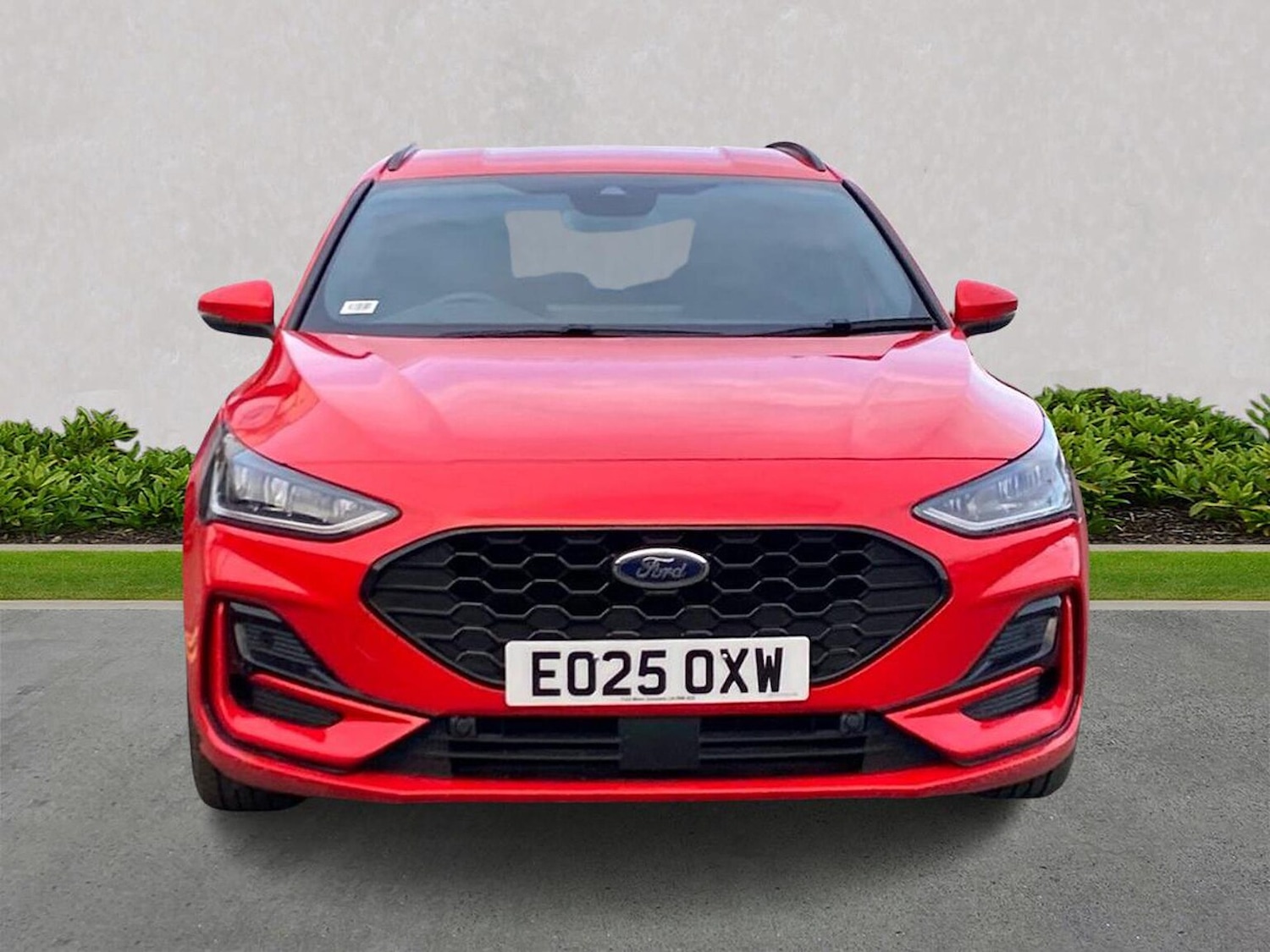 Used Ford Focus 2025 for sale - 78039338: Photo 5