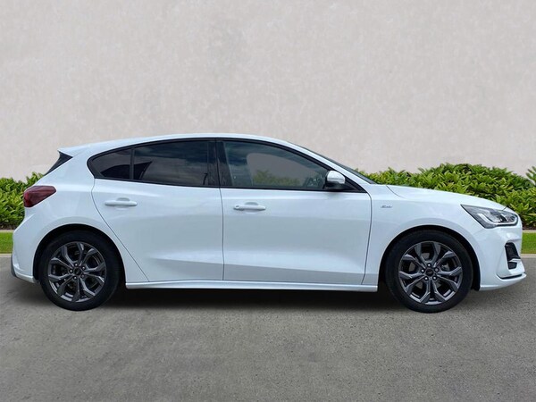 Used Ford Focus 2024 for sale - 75718059: Photo 3