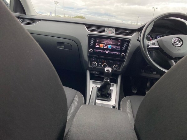 Used Skoda Octavia 2020 for sale - 76194472: Photo 13