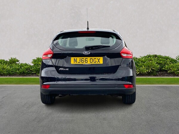 Used Ford Focus 2017 for sale - 76011110: Photo 4