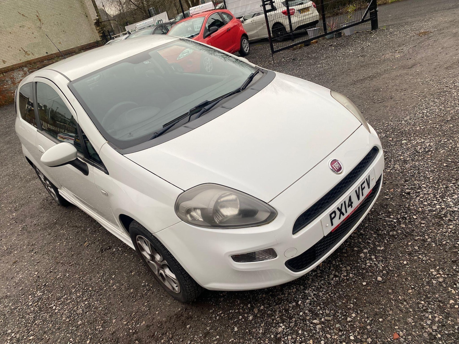 Used Fiat Punto 2014 for sale - 77344800: Photo 2