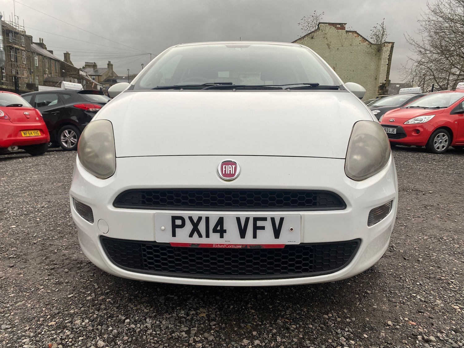Used Fiat Punto 2014 for sale - 77344800: Photo 3