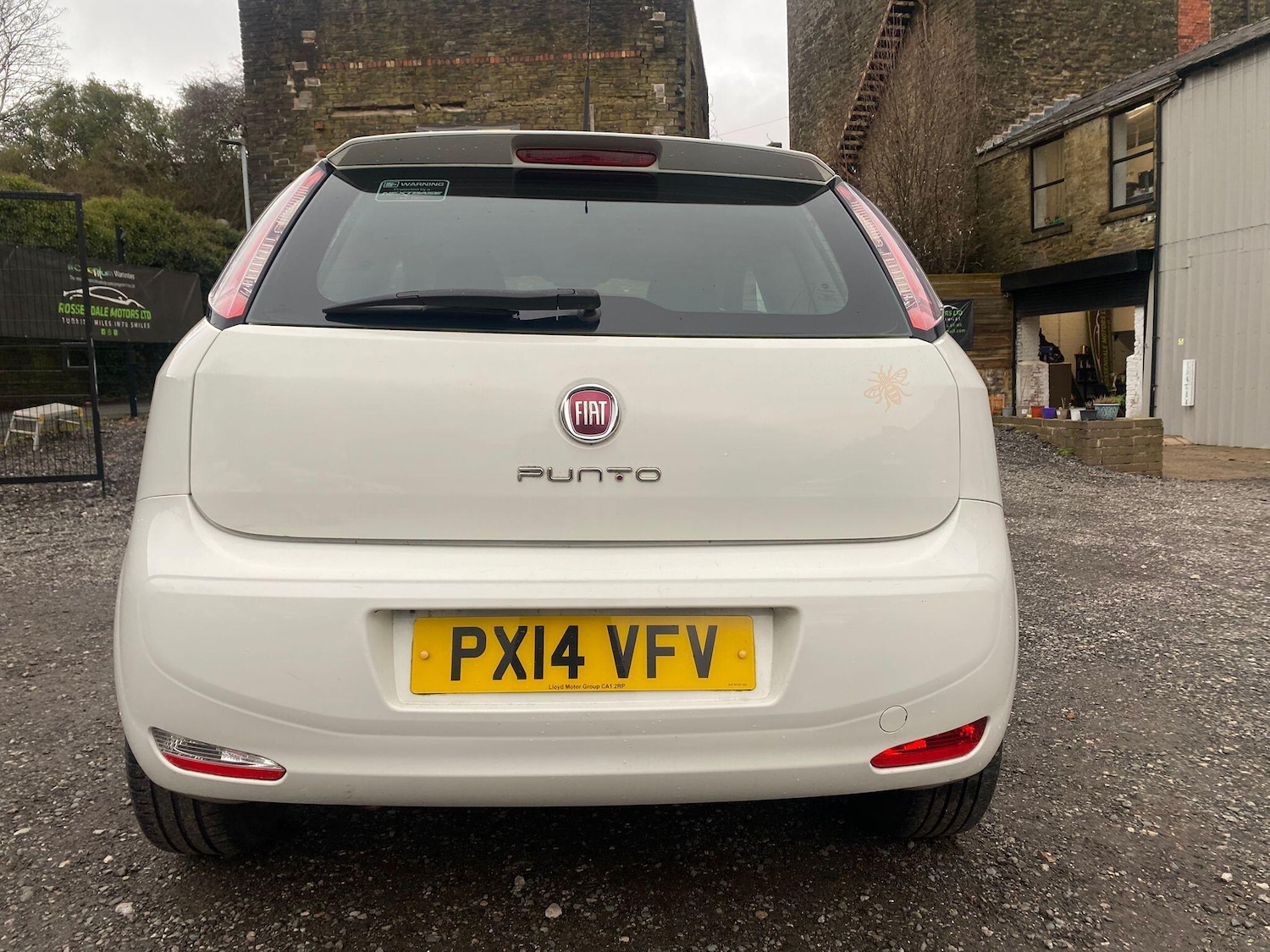 Used Fiat Punto 2014 for sale - 77344800: Photo 7