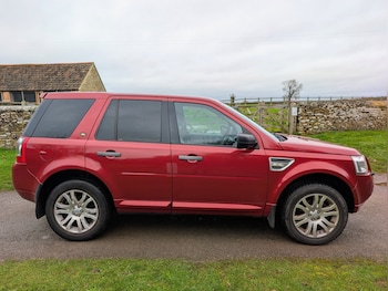 Used Land Rover Freelander 2008 for sale - 76719780: Photo
