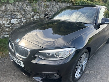 Used BMW 2 Series 2015 for sale - 75991701: Photo