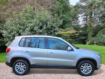 Used Volkswagen Tiguan 2008 for sale - 77881202: Photo