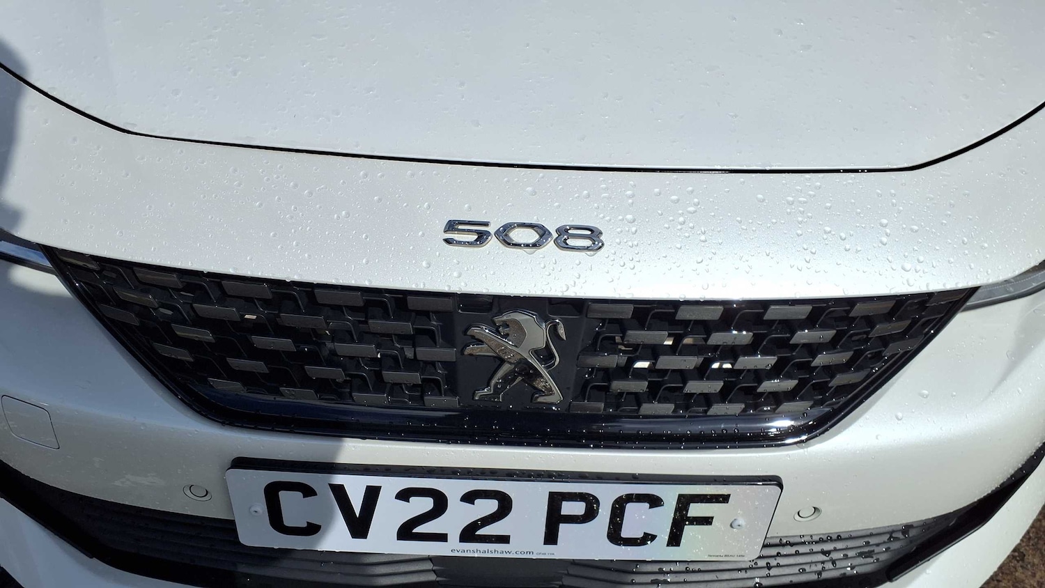 Vehicle 33