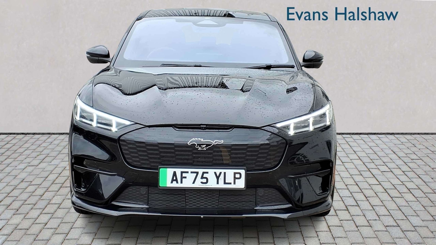 Used Ford Mustang Mach-E 2025 for sale - 78209364: Photo 4