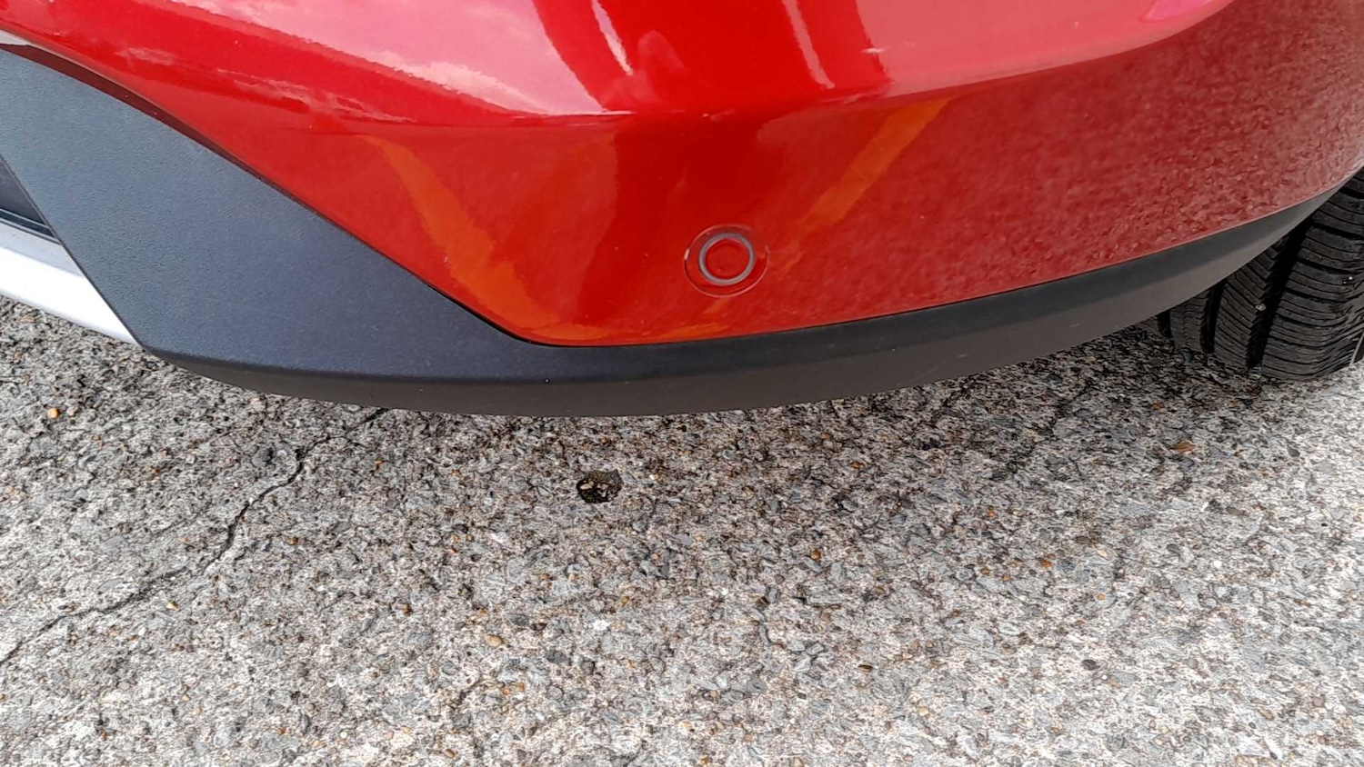 Used Ford Kuga 2021 for sale - 77458679: Photo 32