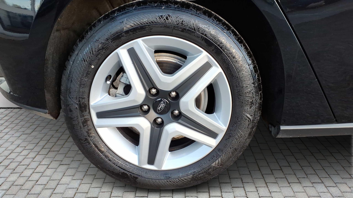 Used Ford Focus 2022 for sale - 77076633: Photo 6