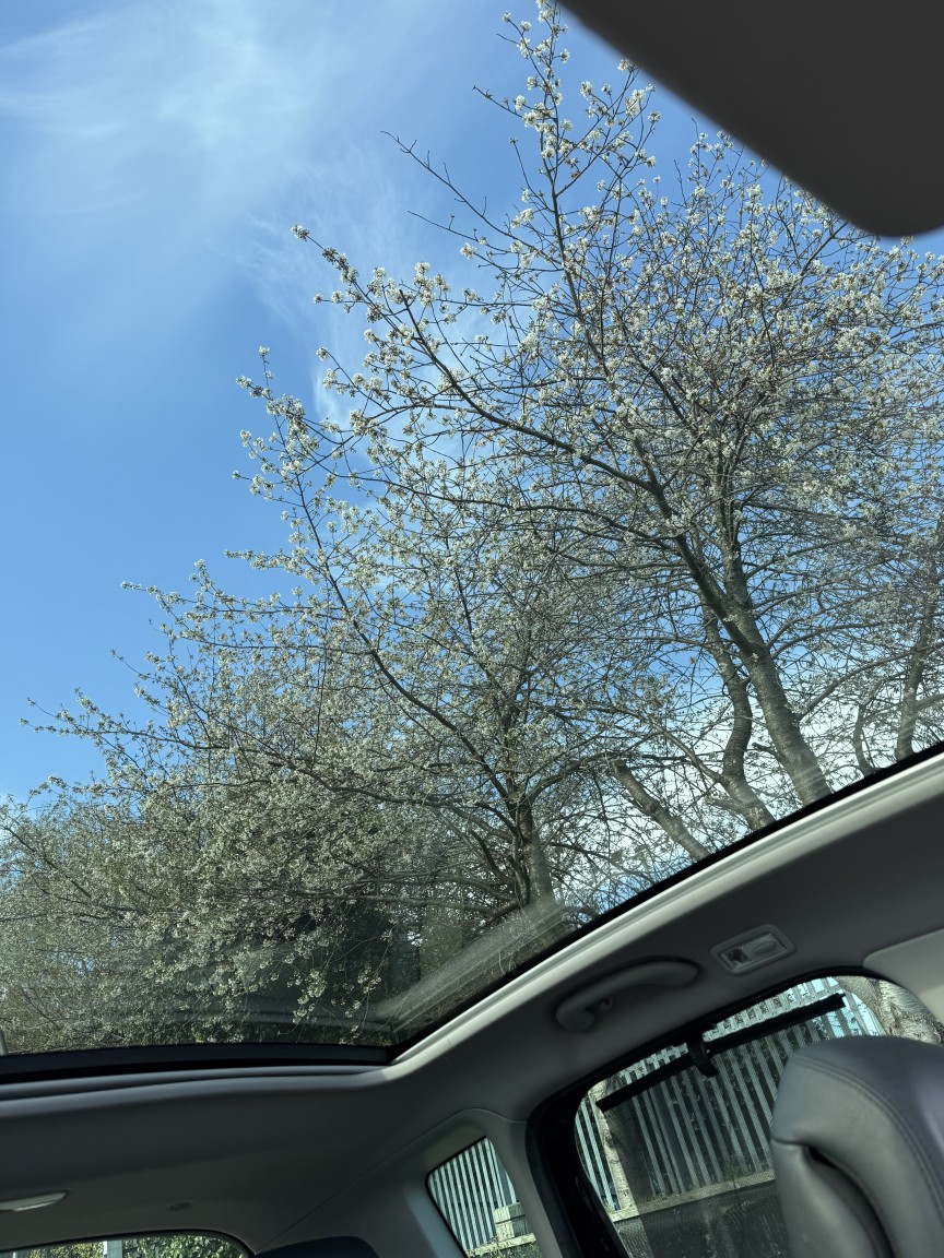 Used Peugeot 3008 2010 for sale - 78182945: Photo 18