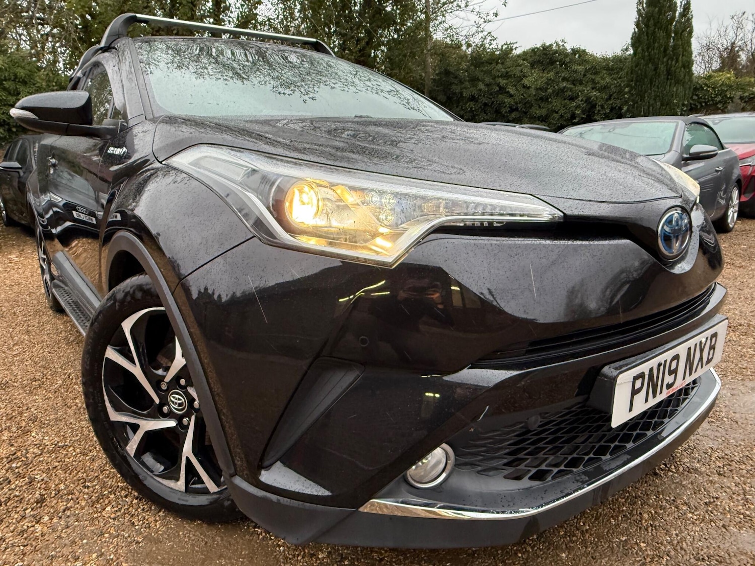 Used Toyota C-HR 2019 for sale - 76645819: Photo 1