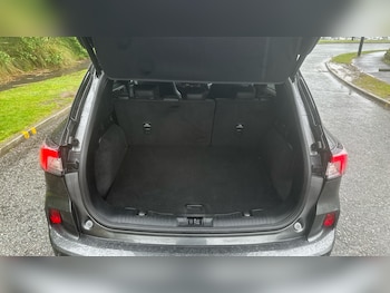 Used Ford Kuga 2023 for sale - 78537036: Photo