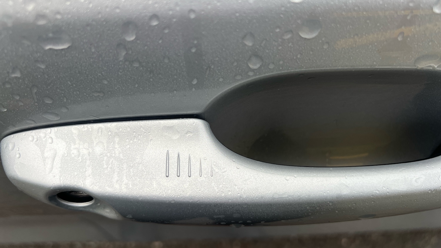 Used Ford Focus 2023 for sale - 77353479: Photo 22