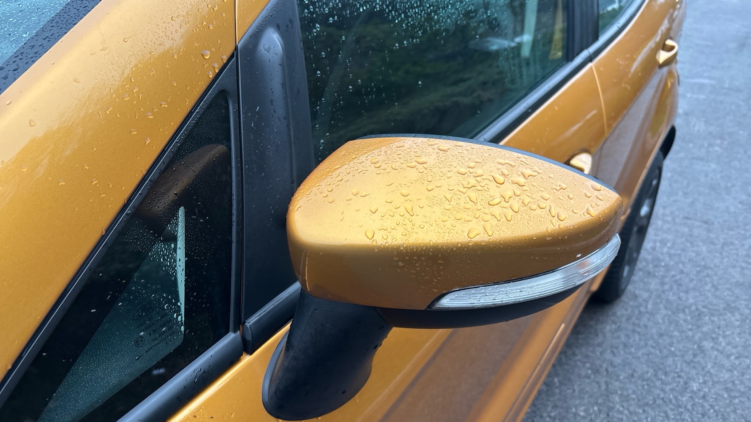 Used Ford Ecosport 2022 for sale - 76719177: Photo 46