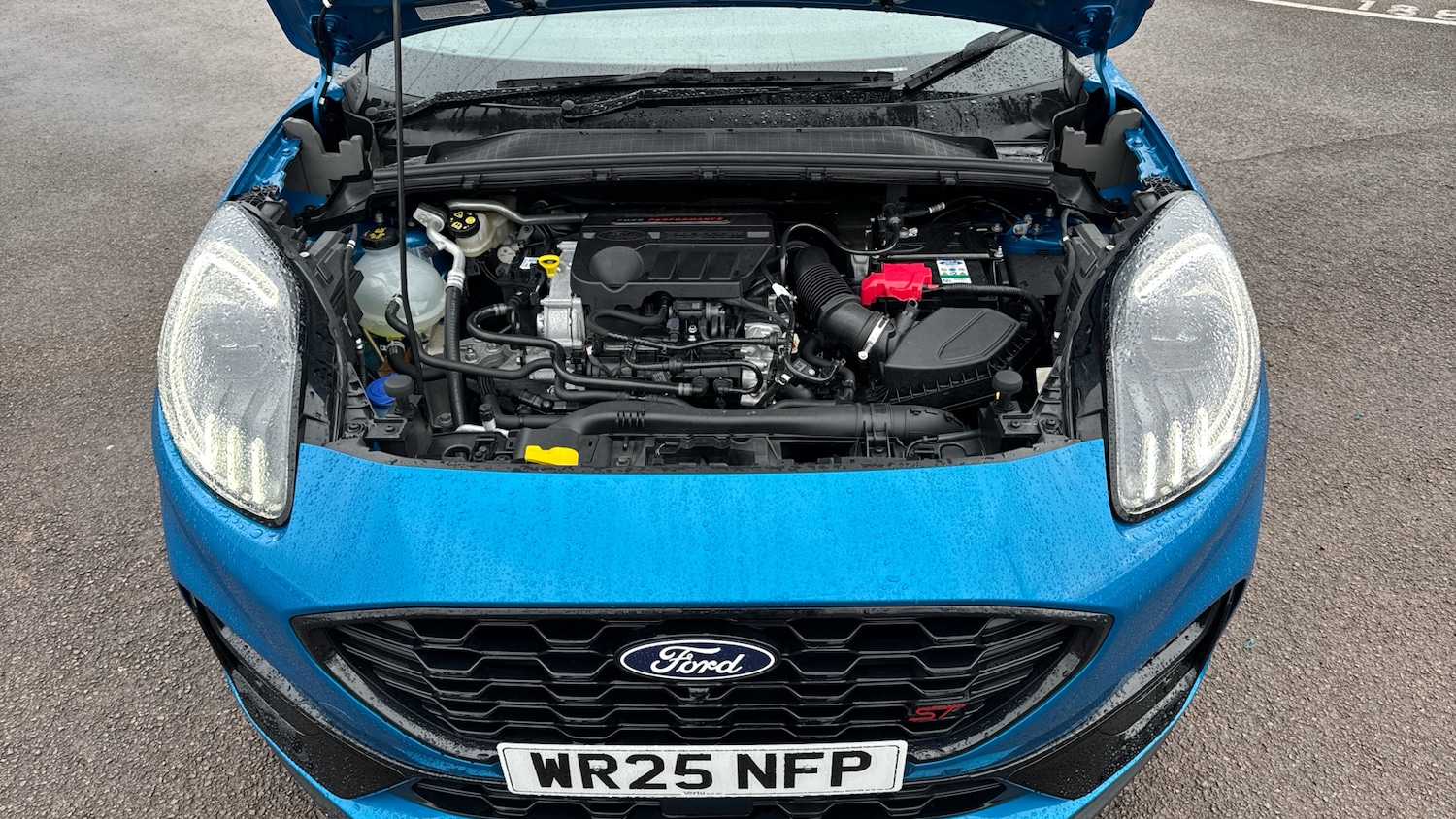 Used Ford Puma 2025 for sale - 77717701: Photo 8