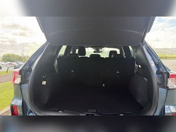 Used Ford Kuga 2023 for sale - 79812395: Photo