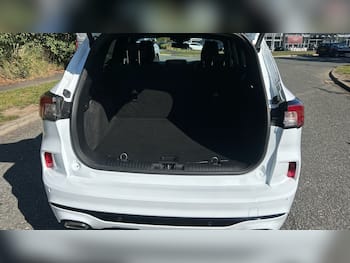 Used Ford Kuga 2023 for sale - 79641113: Photo