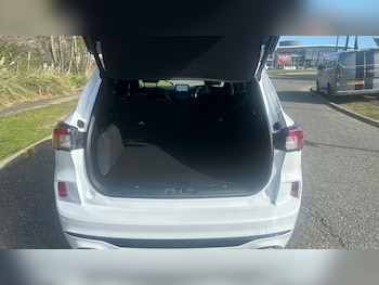 Used Ford Kuga 2023 for sale - 78250716: Photo