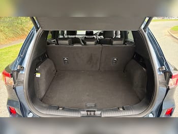 Used Ford Kuga 2023 for sale - 79703668: Photo