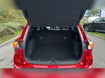 Used Ford Kuga 2022 for sale - 76500051: Photo