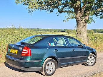 Used Skoda Octavia 2009 for sale - 79018654: Photo
