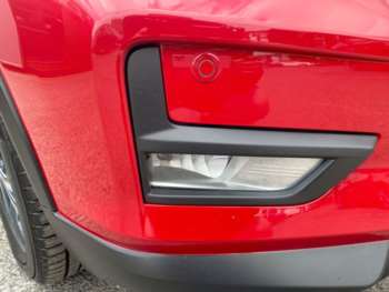 Used Nissan X-Trail 2021 for sale - 74974070: Photo