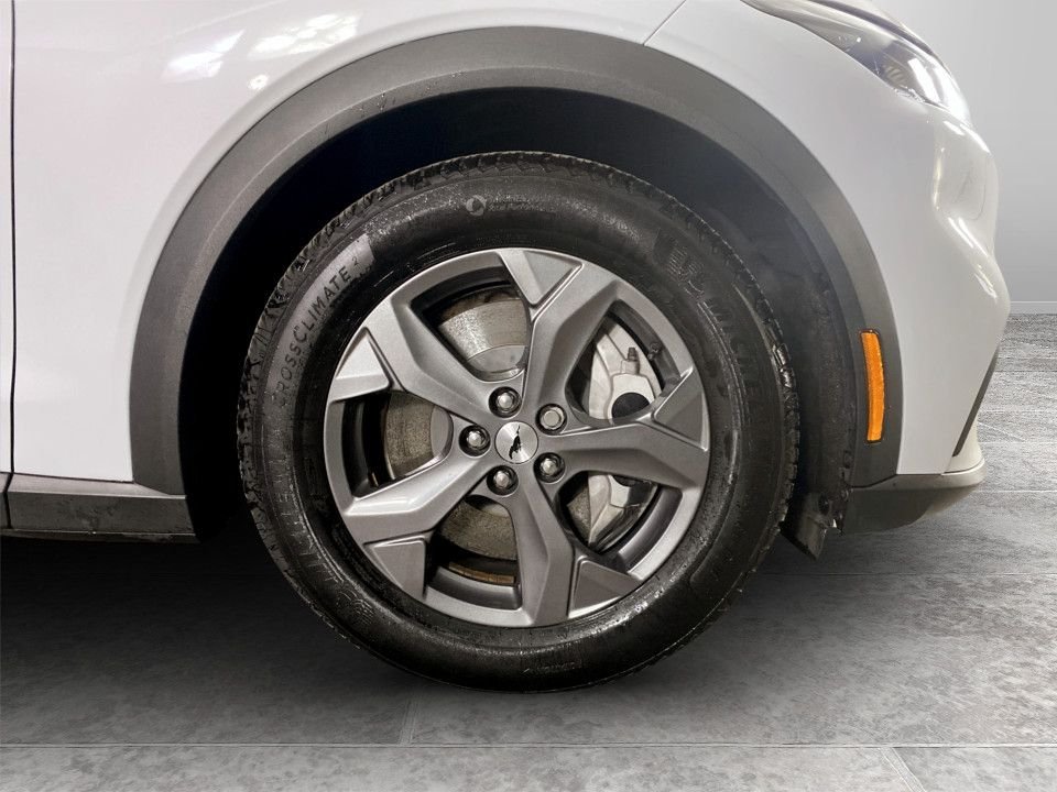 Used Ford Mustang Mach-E 2024 for sale - 77835436: Photo 10