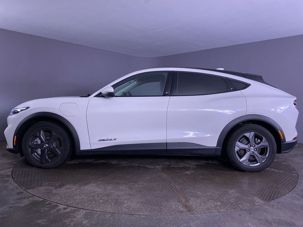 Used Ford Mustang Mach-E 2024 for sale - 77199764: Photo 12