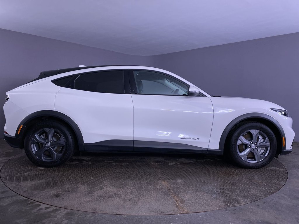 Used Ford Mustang Mach-E 2024 for sale - 77199764: Photo 16