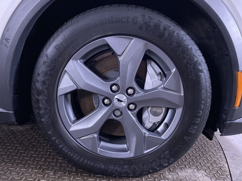 Used Ford Mustang Mach-E 2024 for sale - 77199764: Photo 19