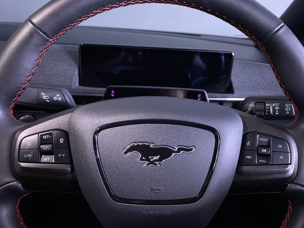 Used Ford Mustang Mach-E 2024 for sale - 77422154: Photo 22