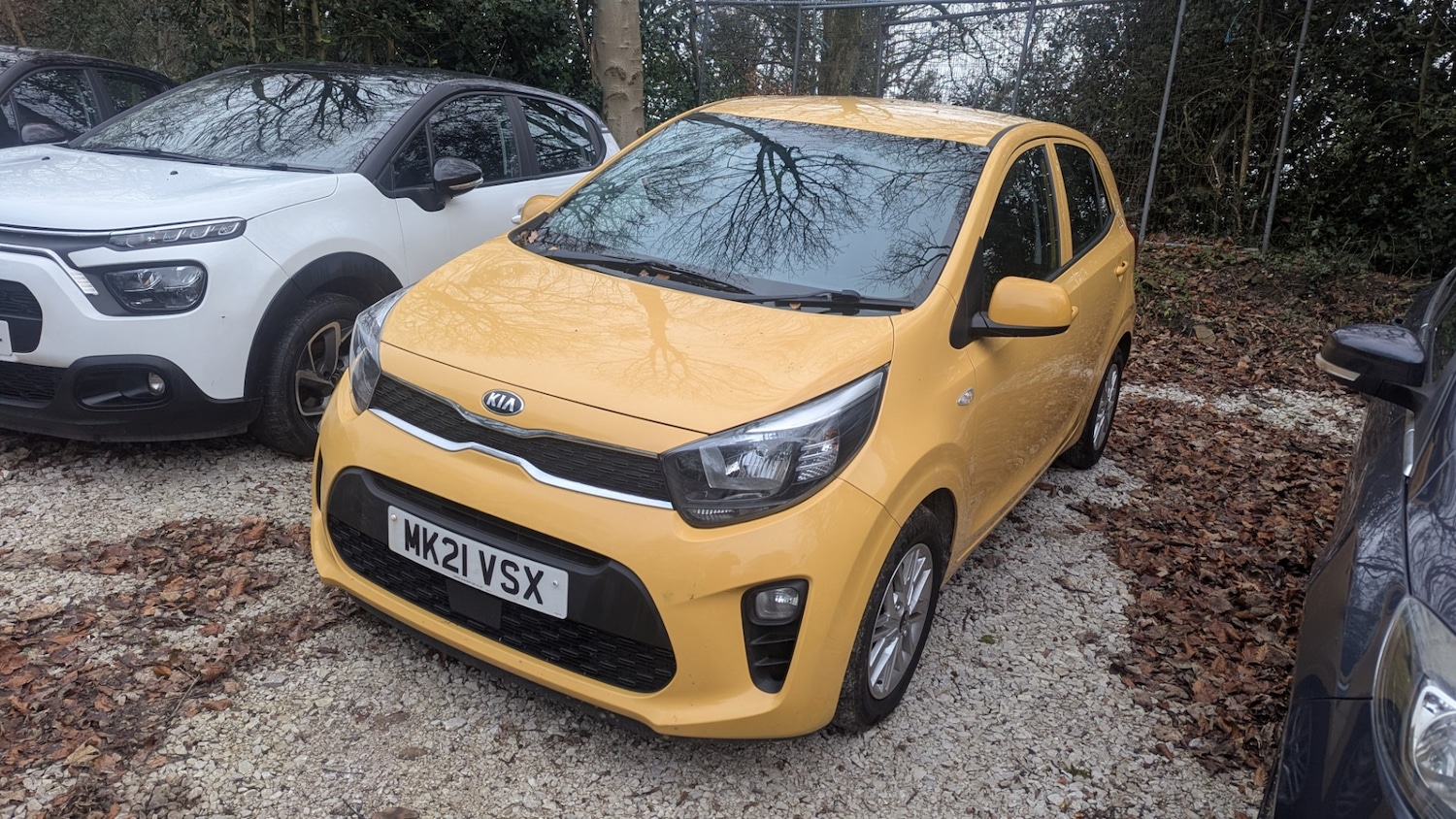 Used Kia Picanto 2021 for sale - 75206138: Photo 25