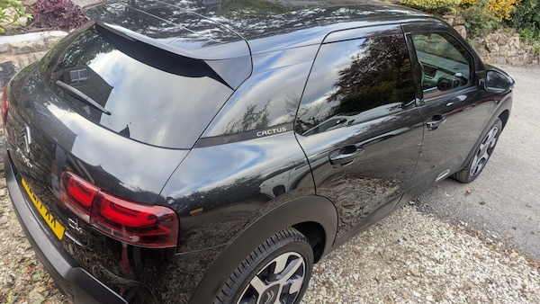 Used Citroen C4 Cactus 2021 for sale - 76281806: Photo 5