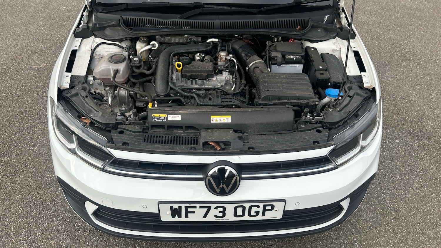 Used Volkswagen Polo 2023 for sale - 77804377: Photo 8