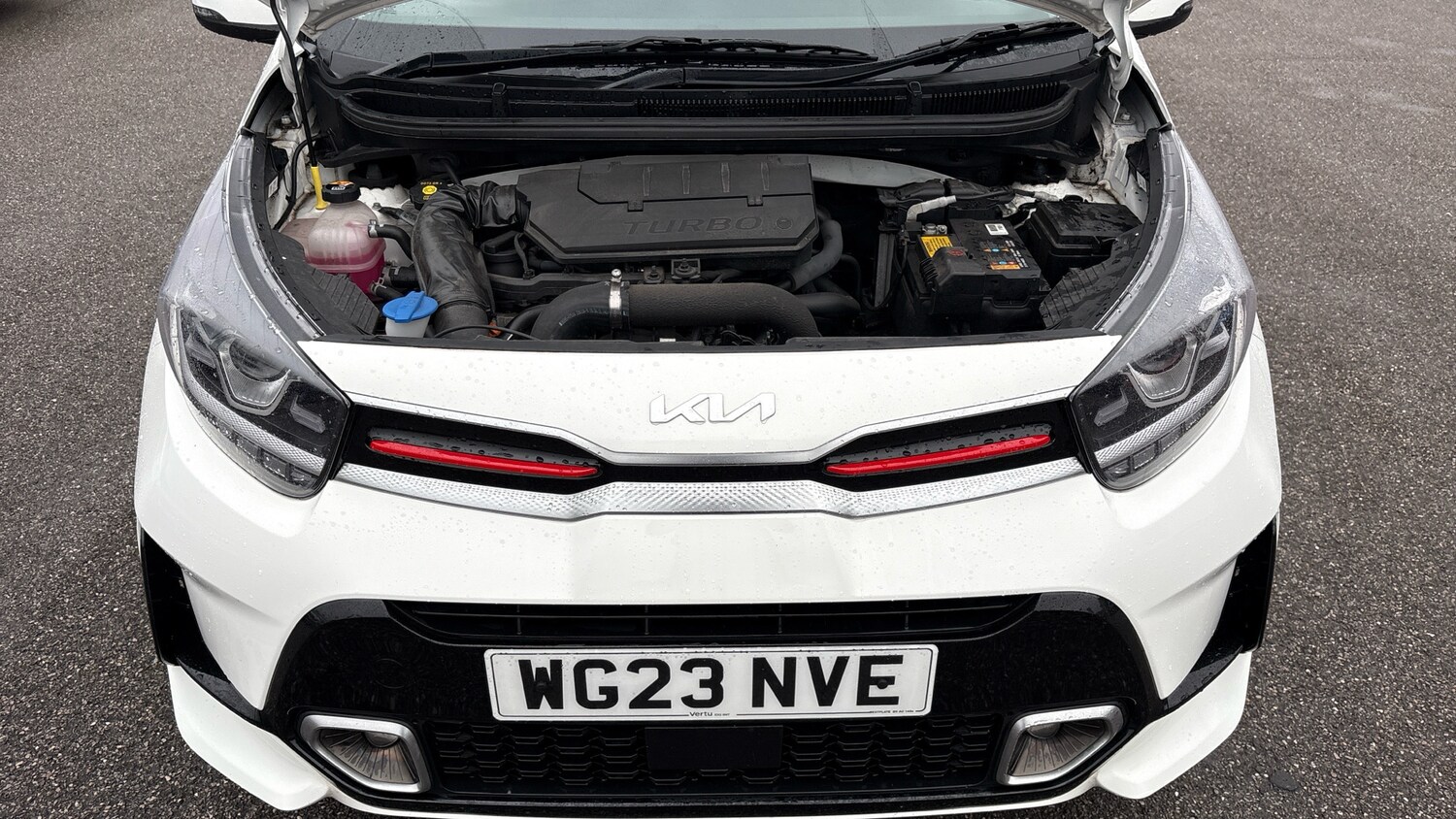 Used Kia Picanto 2023 for sale - 76287139: Photo 8