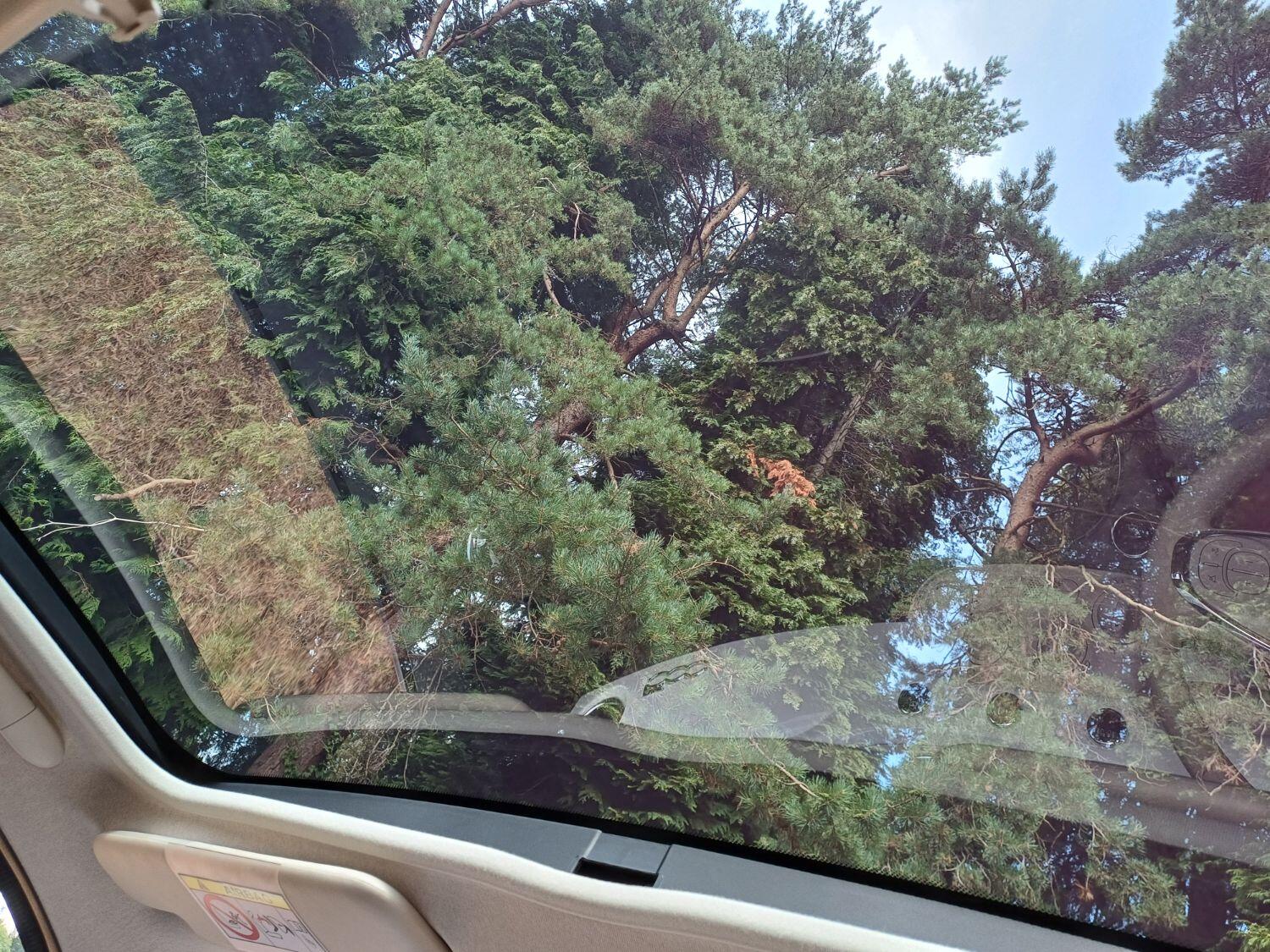 Used Fiat 500 2016 for sale - 76656227: Photo 20