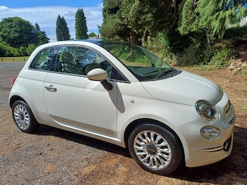 Fiat - 500