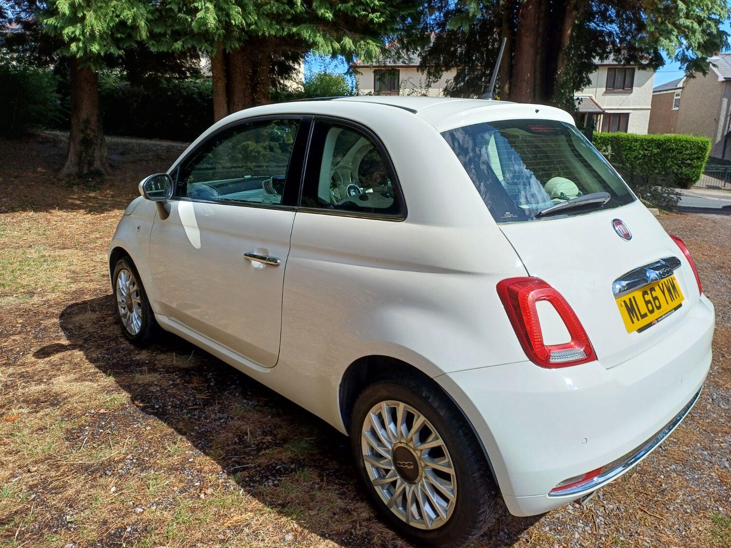 Used Fiat 500 2016 for sale - 76793819: Photo 5