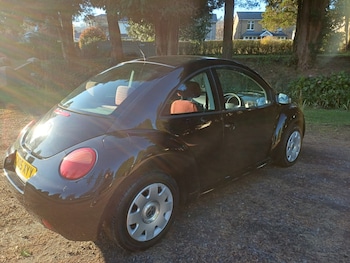 Used Volkswagen Beetle 2005 for sale - 77085309: Photo
