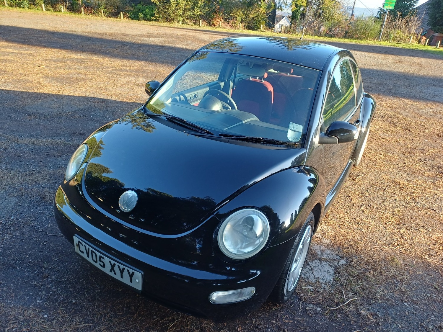 Used Volkswagen Beetle 2005 for sale - 77085309: Photo 6