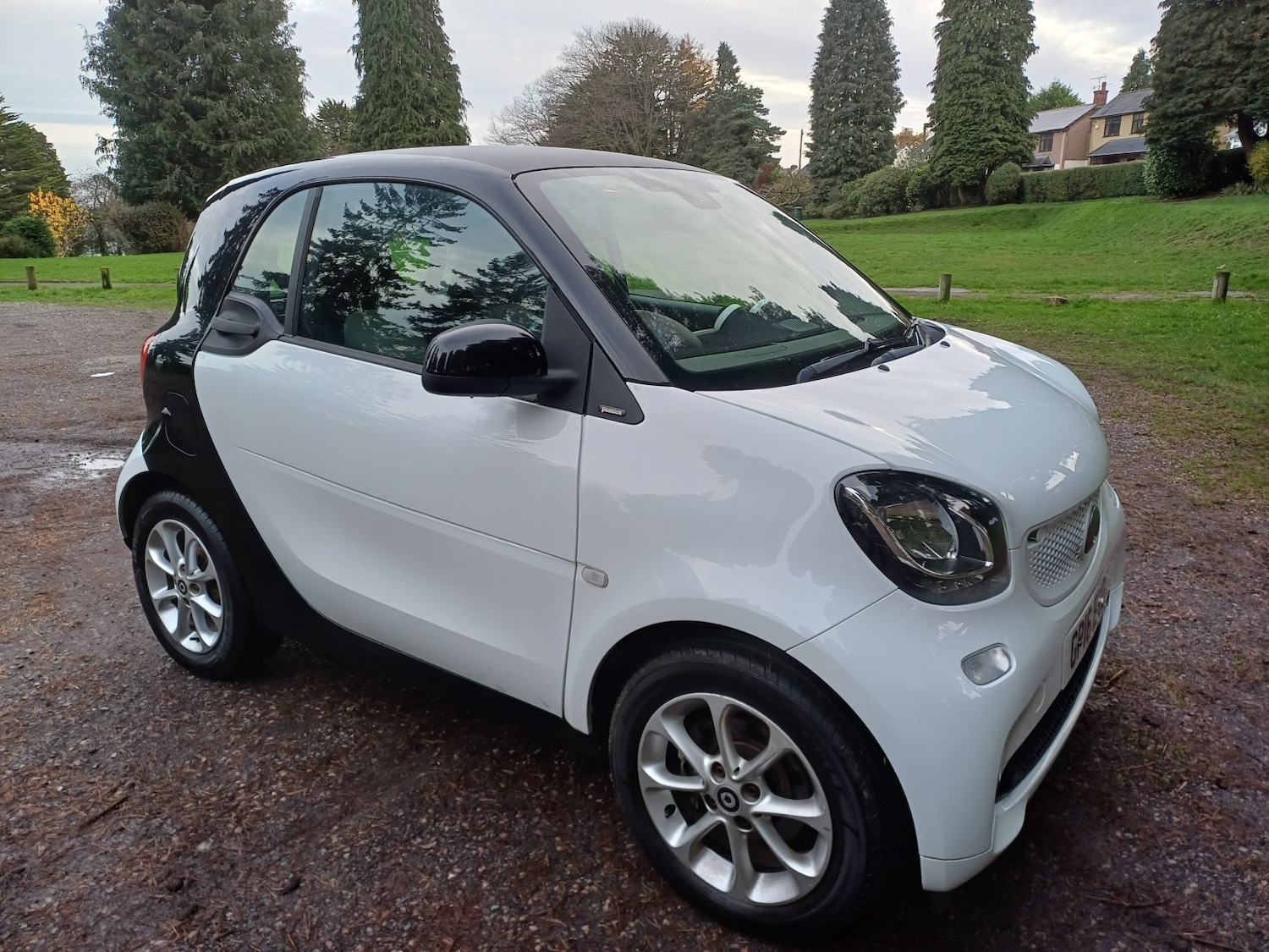 Used smart fortwo 2016 for sale - 76656001: Photo 1