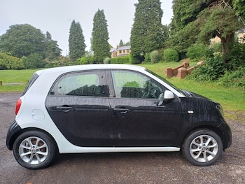 Used smart forfour 2016 for sale - 78882328: Photo