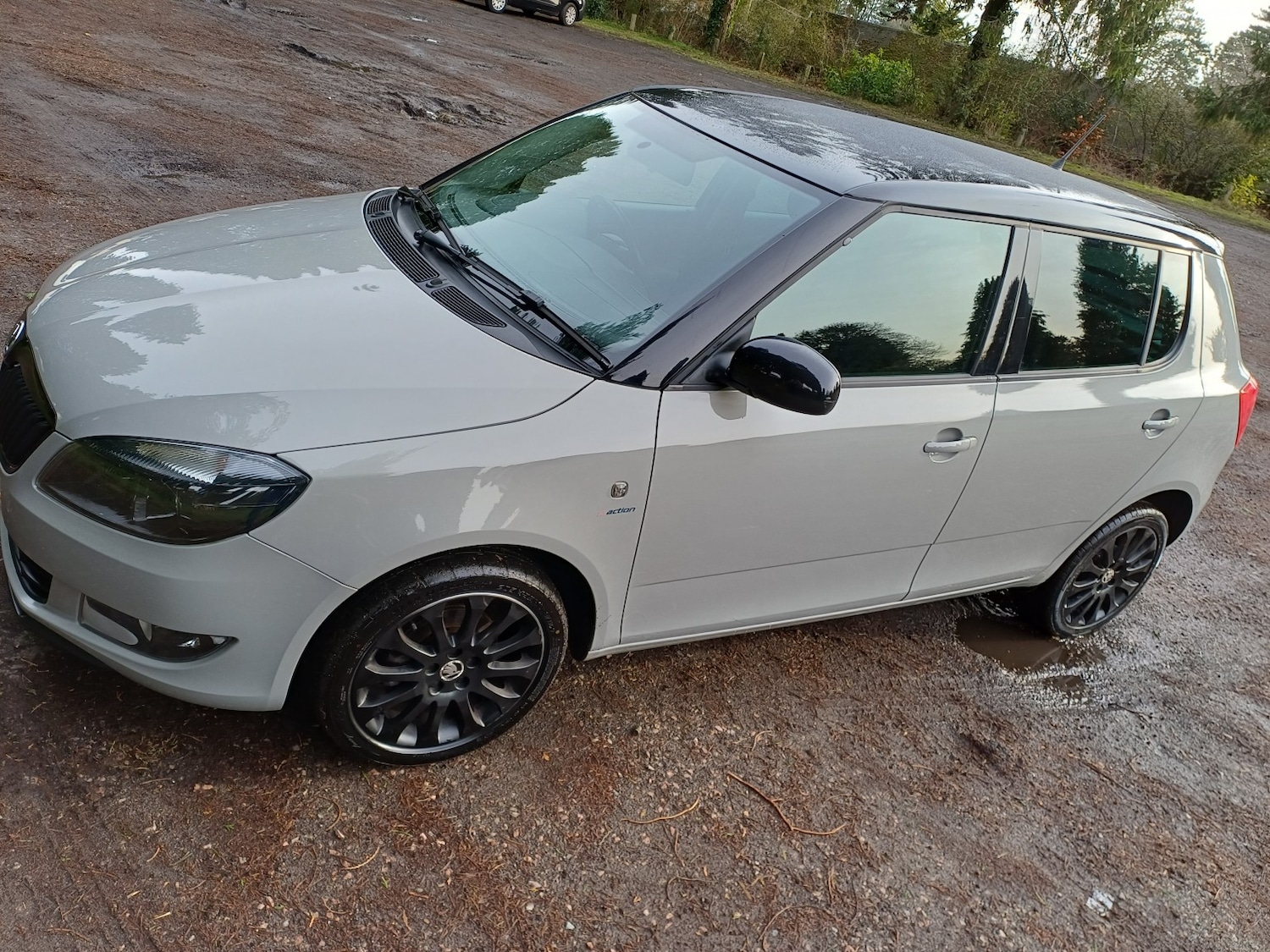 Used Skoda Fabia 2013 for sale - 77584569: Photo 8