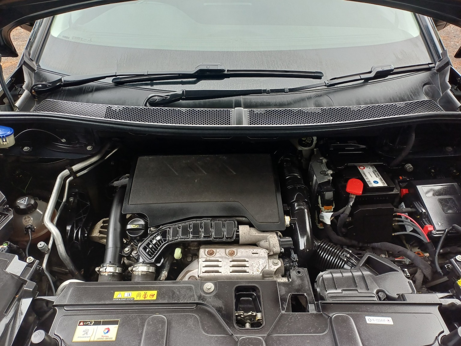 Used Peugeot 3008 2019 for sale - 76656214: Photo 11