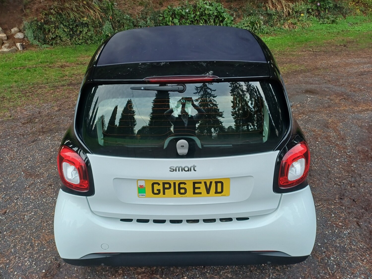 Used smart fortwo 2016 for sale - 77465002: Photo 10