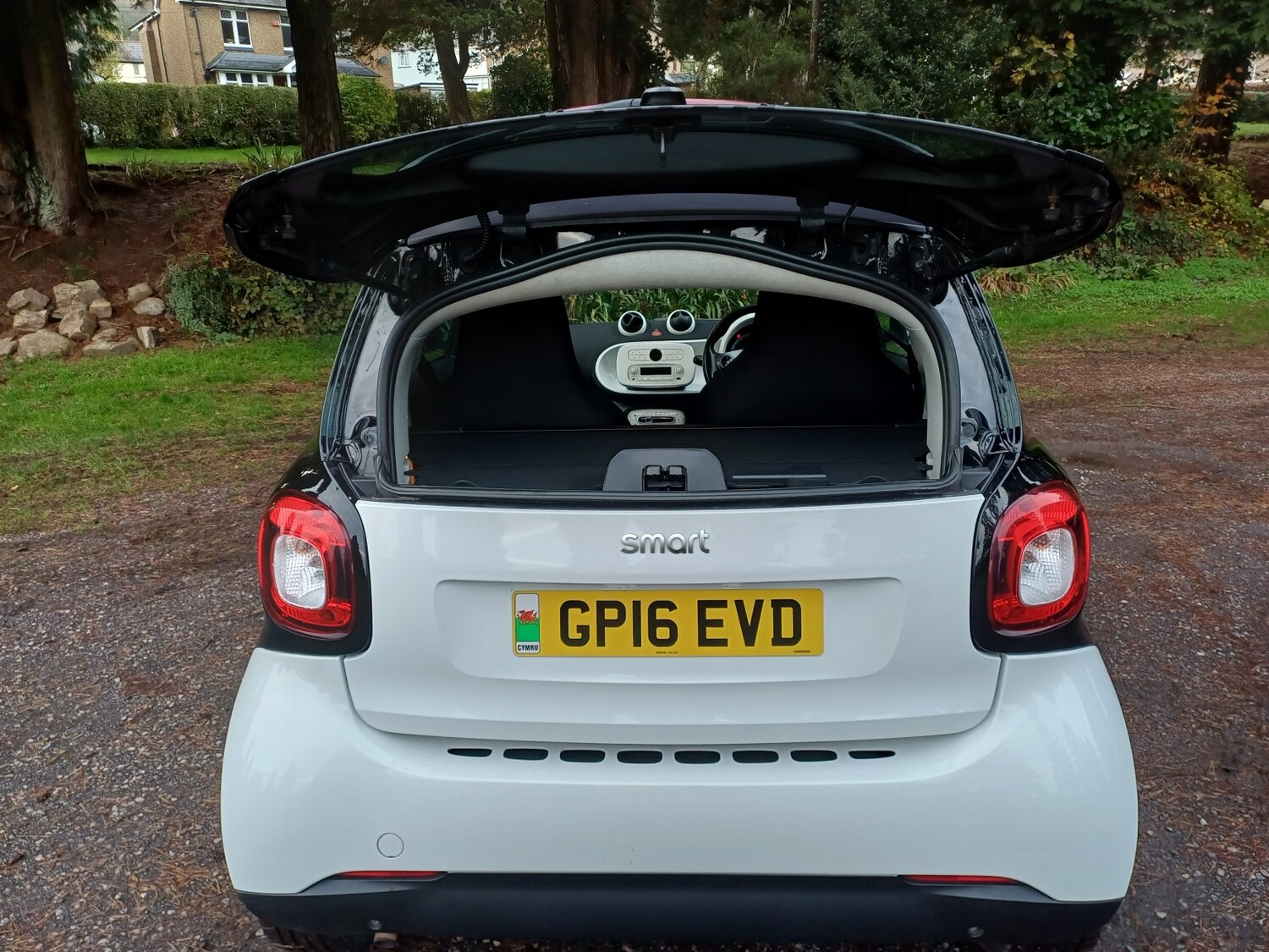 Used smart fortwo 2016 for sale - 77465002: Photo 11