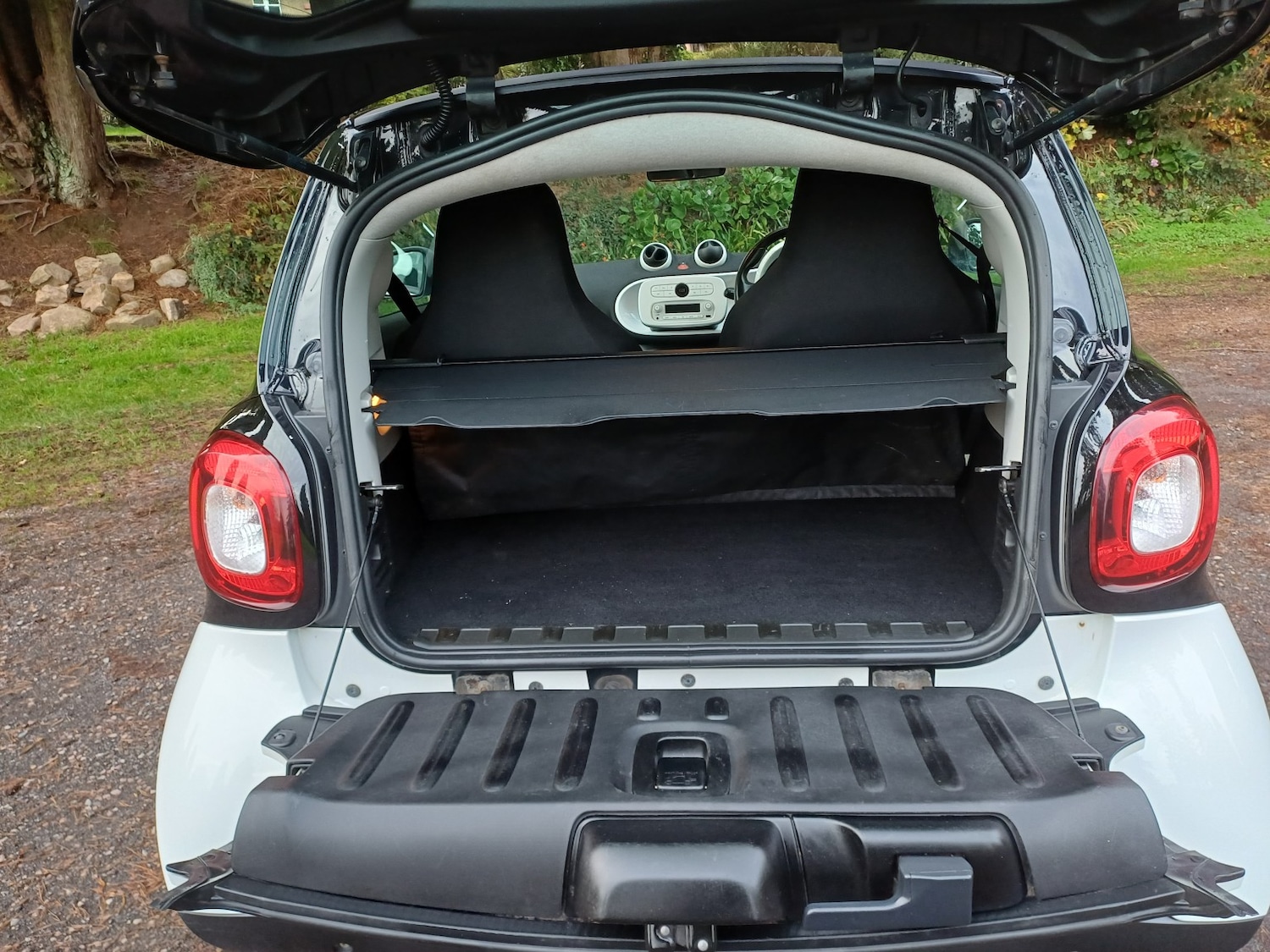 Used smart fortwo 2016 for sale - 77465002: Photo 12